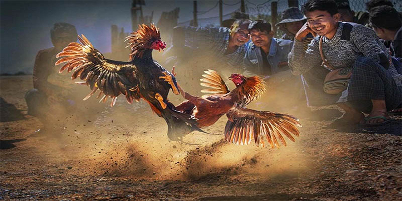 99oke chơi bắn cá đổi thưởng