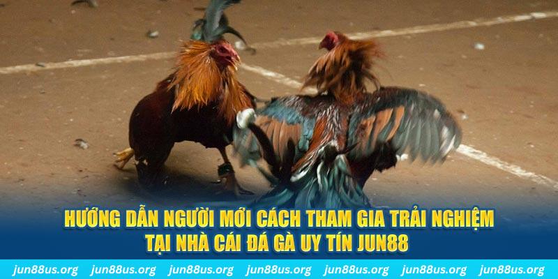99oke CQ9 Điện Tử