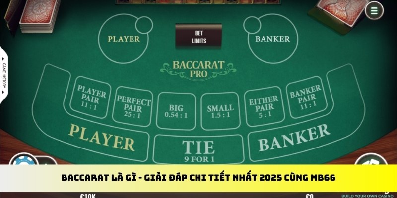 99oke gà chọi cu cần
