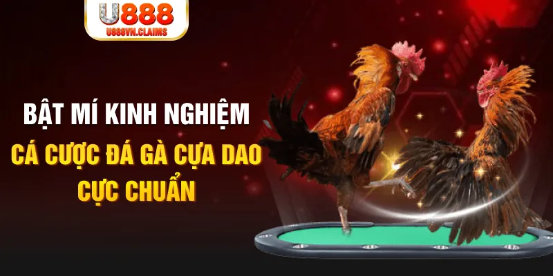 99oke tỷ lệ cá cược châu á là gì
