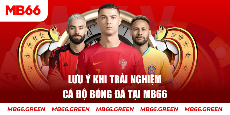 99oke cá cược là gì