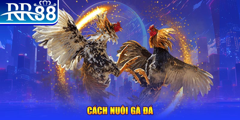 99oke xổ số an giang
