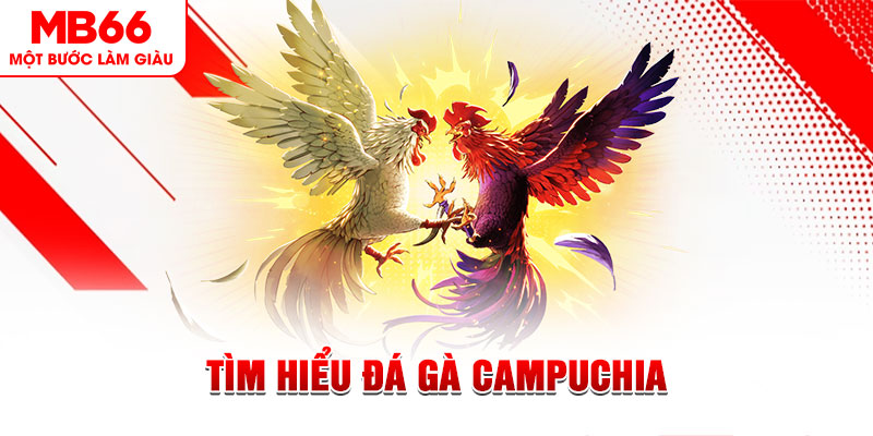 99oke đá gà trực tiếp