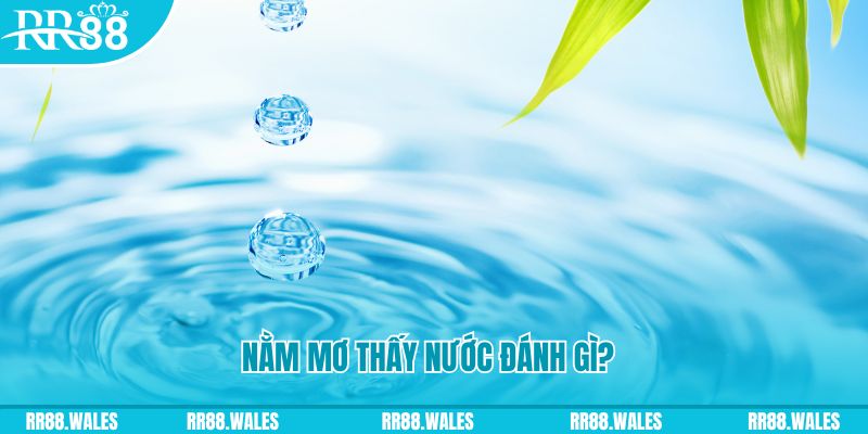 99oke TP Bắn cá
