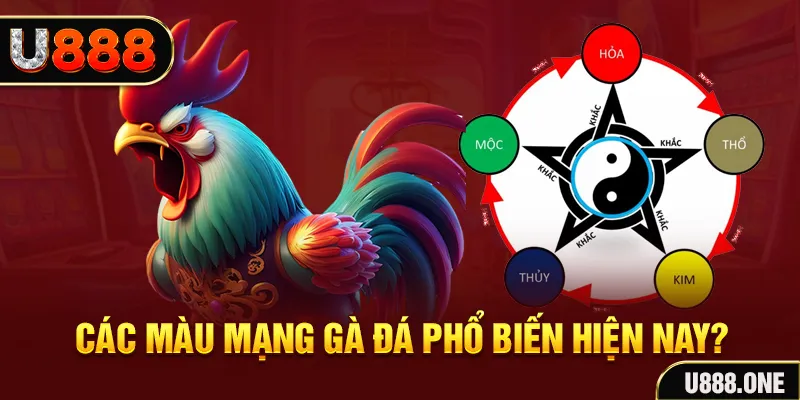 99oke trực tiếp đá gà 88