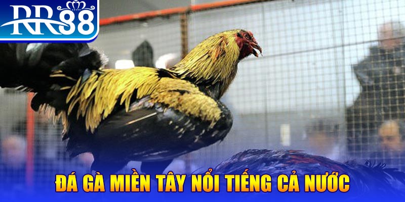 99oke JILI Game Bài 3d
