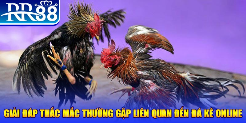 99oke xổ số đà lạt