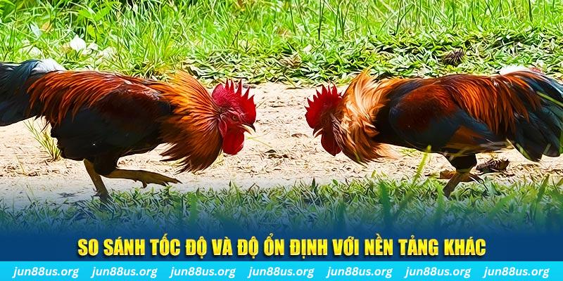 99oke đá gà hôm nay
