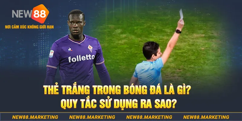99oke gà chọi mộc hóa