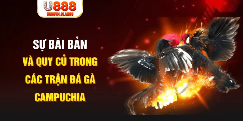 99oke YGR Điện Tử