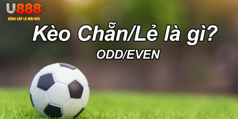 99oke đăng nhập poker hôm nay