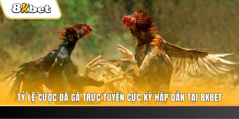 99oke xổ số trực tiếp miền bắc