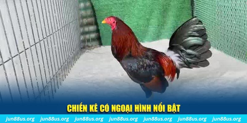 99oke chạy quảng cáo cho game bài bị phạt như thế nào