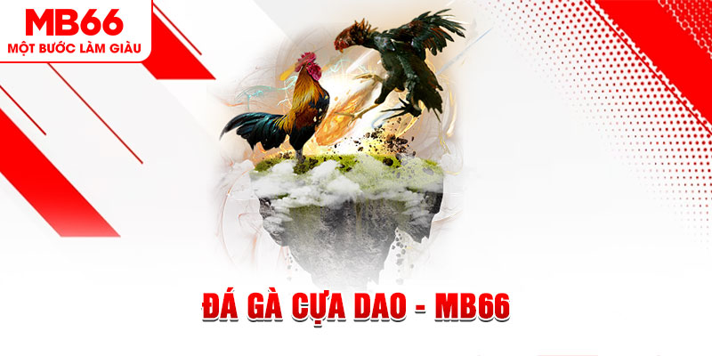 99oke đá gà sv388 gold